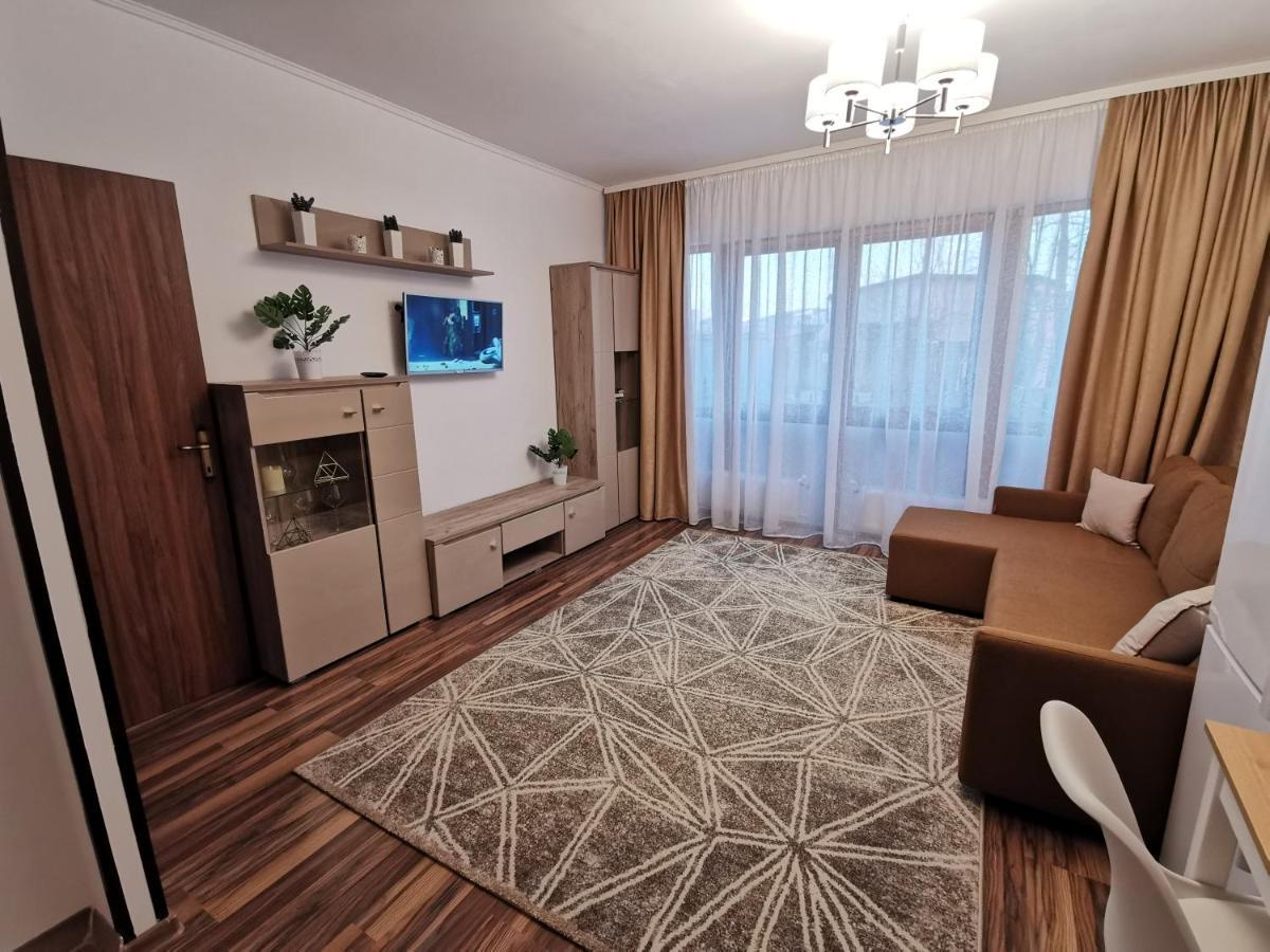 Charming Apartment In Villa Iasi Buitenkant foto