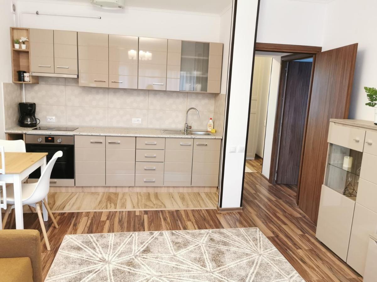 Charming Apartment In Villa Iasi Buitenkant foto